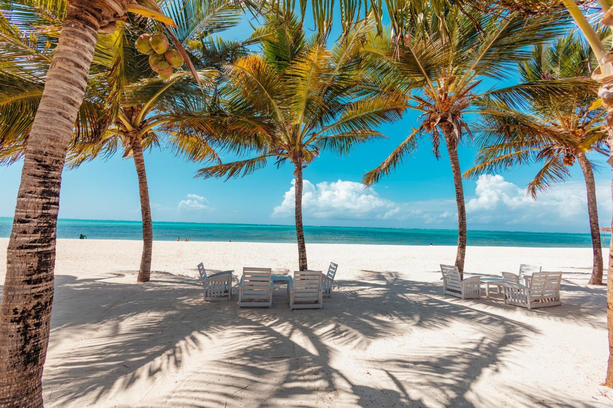 Twiga Beach Resort Watamu Kültér fotó