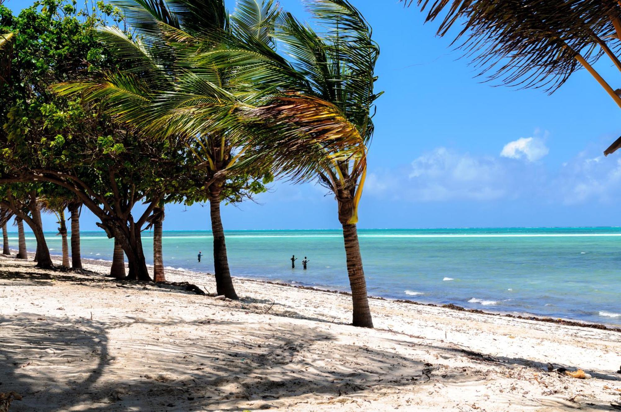 Twiga Beach Resort Watamu Kültér fotó